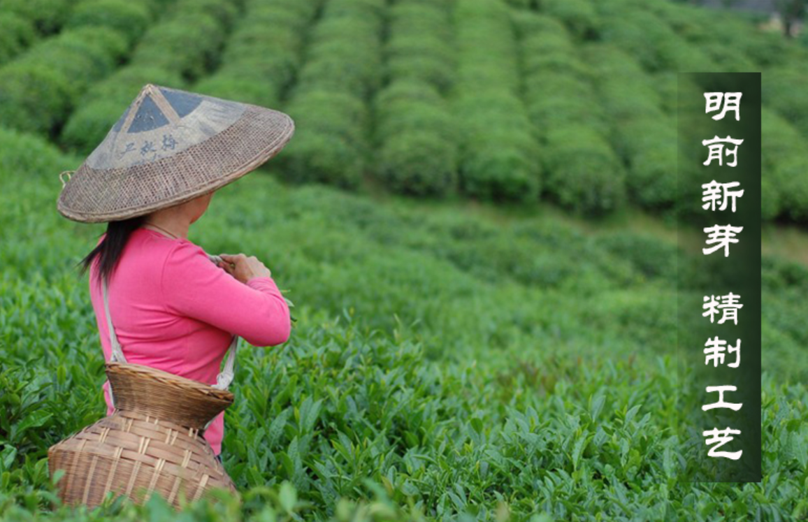 银河集团湖南红茶“十大产品品牌”之烟溪功夫红茶：无由持一碗寄与爱茶人(图2)