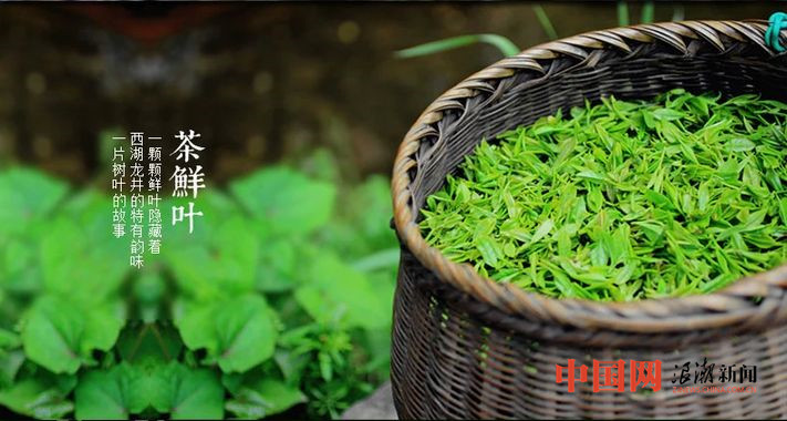 银河集团中国十大茶叶品牌发布 西湖龙井等品牌上榜(图1)