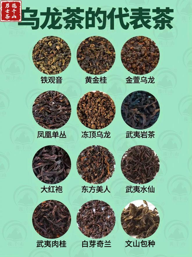 银河集团中国六大茶类的代表茶你喝过几种？(图2)