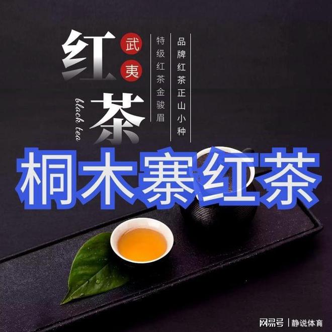 银河集团红茶的功效与作用及禁忌症桐木寨茶叶品牌南平邵武(图1)